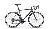 ROAD bicykle CTM 2022 | SlovakiaBike