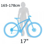 Bicykle 17