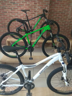 Kenzel 2019 MTB