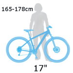 Cross bicykle 17