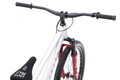 CTM DIRTKING Pro 2026 
