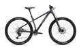 CTM ZEPHYR Limited 2026 MTB