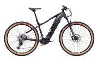 MTB E-BIKE CTM 2022 | SlovakiaBike