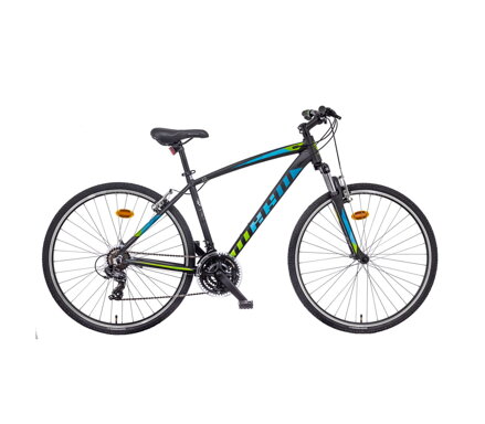 MAYO XR BASIC 