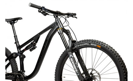 Pells Tarpan Am 2 29" Black 2024