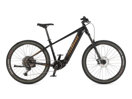 AUTHOR ELEVATION 27.5 ASL 2025 