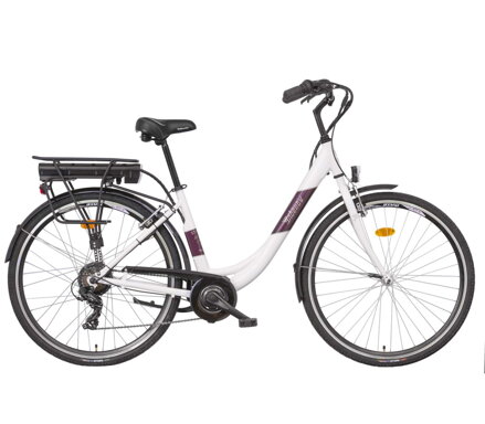 LIBERTY e-STRADA 6spd zadný motor