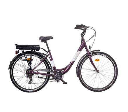 LIBERTY e-STRADA 6spd zadný motor