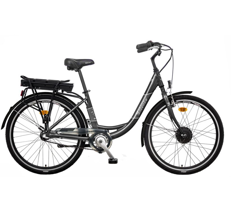 LIBERTY e-VIA 3spd NEXUS