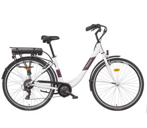 LIBERTY e-STRADA 6spd zadný motor