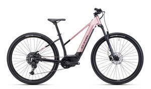 CTM ROXXY GX PRO 2025