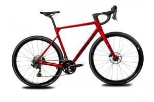 STEDO RAZTY  STEDO RAZTY