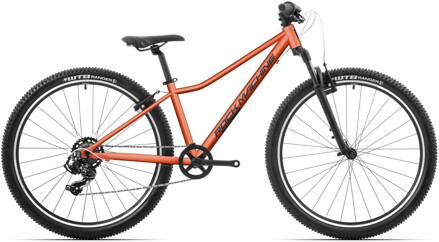 Catherine 27 / Coral / 27x13.5" (XS)