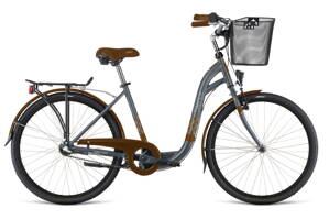 Bicykel Dema SILENCE 3sp grey-brown