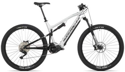 Blizzard INT e30-29/Gloss Silver/Black/Grey