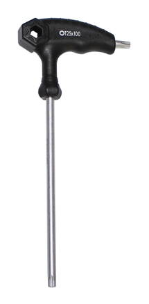 FORCE torx s T rukoväťou 25