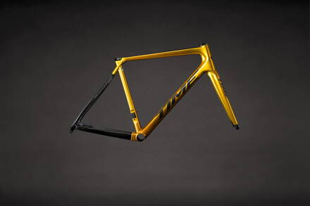 TIME Rám ALPE D’HUEZ DISC brilliant gold