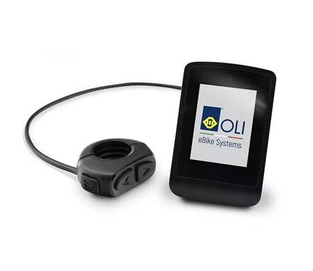 DISPLEJ-OLI COLOR DISPLAY EBHMI0020