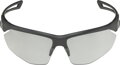 ALPINA Okuliare NYLOS HR black-transparent matt
