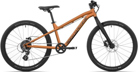Blizz 24 HD / Orange / 24x12.5"