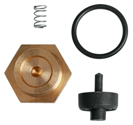 Pumpa Náhradné diely SKS Check Valve Set For Rennkompressor