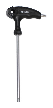 FORCE torx s T rukoväťou 25