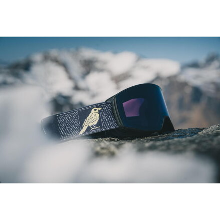 Alpina lyžiarske okuliare VENET LITOFF Q--LITE black-yellow Alpina lyžiarske okuliare VENET LITOFF Q--LITE black-yellow